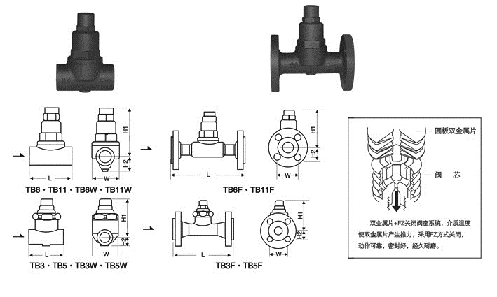 TB可调双金属片疏水阀(图2)