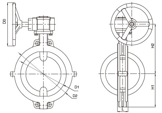 D371F46衬氟对夹蝶阀(图2)
